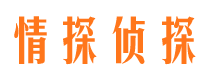 南海市私家侦探